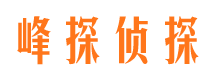 宁安市私家侦探